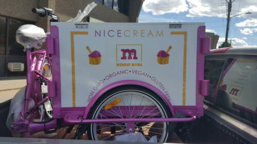 Partial Wrap on Ice Cream Bicycle Vendor